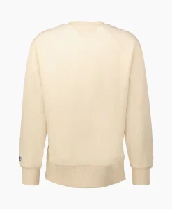 Tenue. Pullover Steve Ecru*Heren Truien